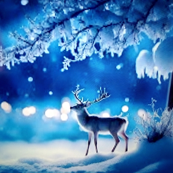 HOST PICK🦋Meet your Posher, Kobal' La - Picture 5 of 7